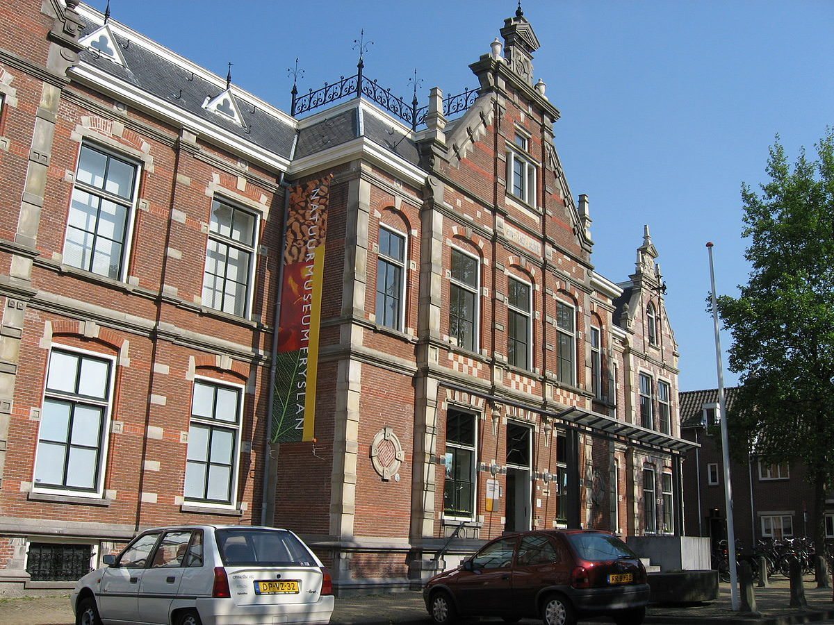 Op avontuur in het Natuurmuseum Fryslân