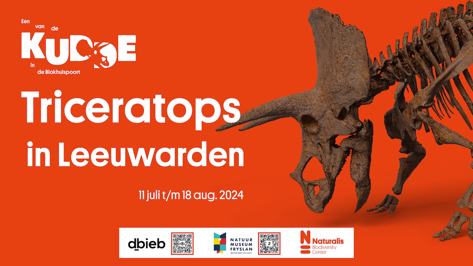 Dé tip voor deze zomer: een triceratops in Leeuwarden!
